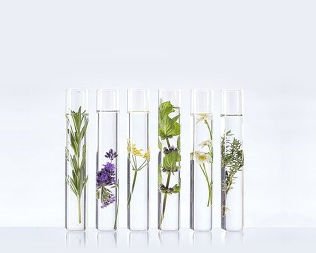 Skin Care Ingredient Dictionary