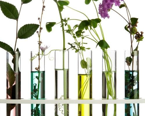 Transformative Skincare Ingredients for Amazing Skin Results!