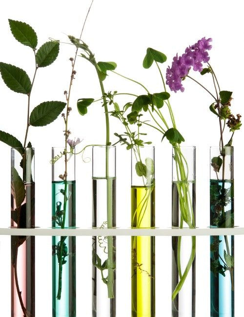Transformative Skincare Ingredients for Amazing Skin Results!