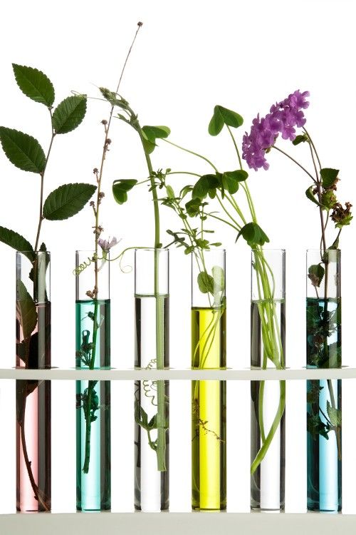 Transformative Skincare Ingredients for Amazing Skin Results!
